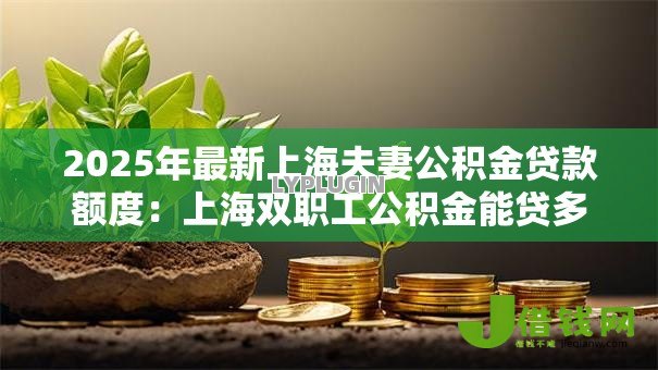 2025年最新上海夫妻公积金贷款额度：上海双职工公积金能贷多少
