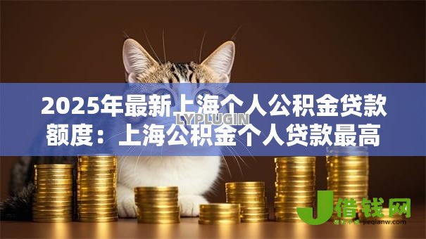 2025年最新上海个人公积金贷款额度：上海公积金个人贷款最高能贷多少