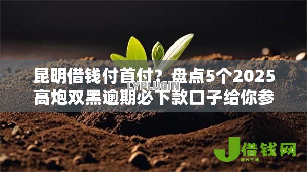 昆明借钱付首付?盘点5个2025高炮双黑逾期必下款口子给你参考 昆明借钱付首付?盘点5个2025高炮双黑逾期必下款口子给你参考