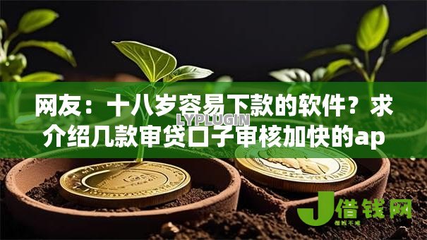网友：十八岁容易下款的软件？求介绍几款审贷口子审核加快的app