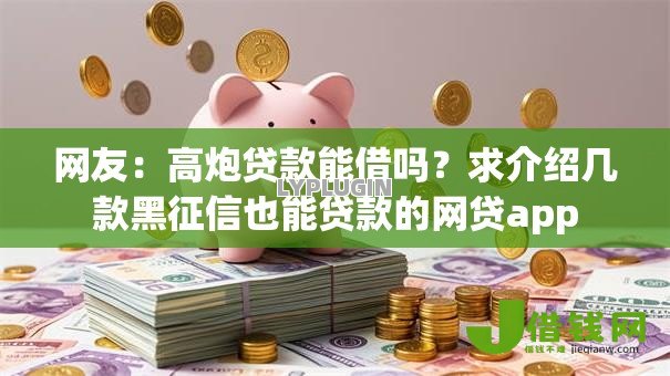 网友：高炮贷款能借吗？求介绍几款黑征信也能贷款的网贷app