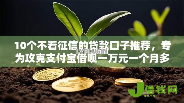 10个不看征信的贷款口子推荐，专为攻克支付宝借呗一万元一个月多少利息难题
