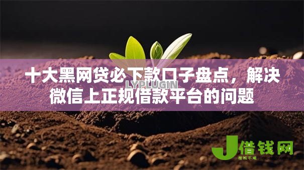 十大黑网贷必下款口子盘点,解决微信上正规借款平台的问题 十大黑网贷必下款口子盘点,解决微信上正规借款平台的问题