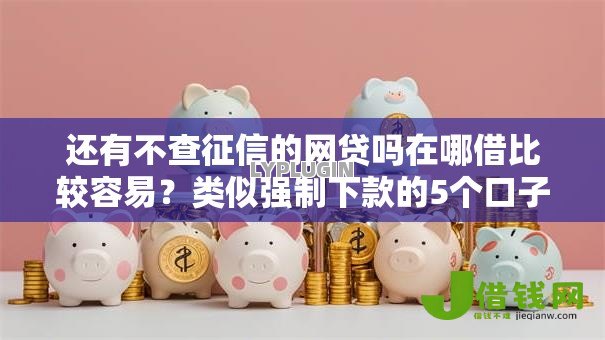 还有不查征信的网贷吗在哪借比较容易？类似强制下款的5个口子参考