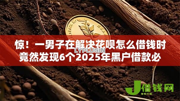 惊!一男子在解决花呗怎么借钱时竟然发现6个2025年黑户借款必下口子,事后分享了出来 惊!一男子在解决花呗怎么借钱时竟然发现6个2025年黑户借款必下口子,事后分享了出来