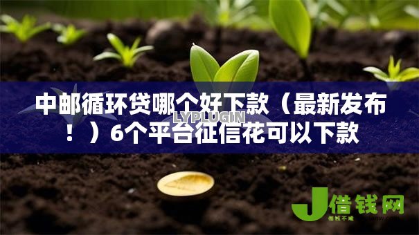 中邮循环贷哪个好下款(最新发布!)6个平台征信花可以下款 中邮循环贷哪个好下款(最新发布!)6个平台征信花可以下款