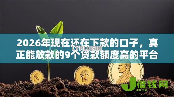 2026年现在还在下款的口子,真正能放款的9个贷款额度高的平台推荐 2026年现在还在下款的口子,真正能放款的9个贷款额度高的平台推荐