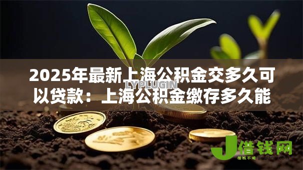 2025年最新上海公积金交多久可以贷款：上海公积金缴存多久能申请贷款