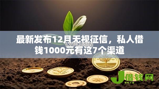 最新发布12月无视征信,私人借钱1000元有这7个渠道 最新发布12月无视征信,私人借钱1000元有这7个渠道