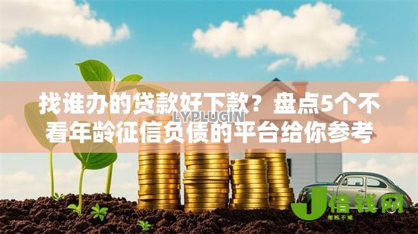 找谁办的贷款好下款?盘点5个不看年龄征信负债的平台给你参考 找谁办的贷款好下款?盘点5个不看年龄征信负债的平台给你参考
