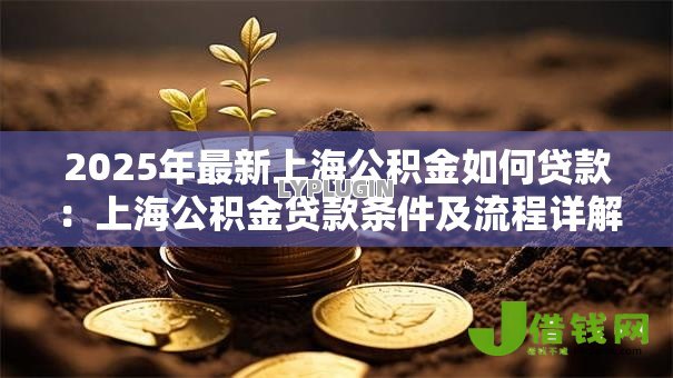 2025年最新上海公积金如何贷款:上海公积金贷款条件及流程详解-借钱网