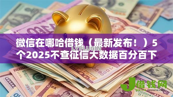 微信在哪哈借钱（最新发布！）5个2025不查征信大数据百分百下款的平台
