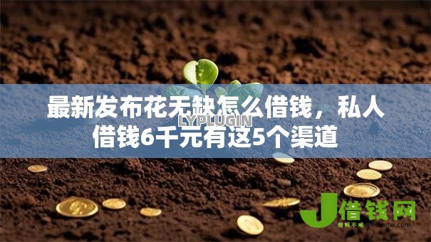 最新发布花无缺怎么借钱，私人借钱6千元有这5个渠道