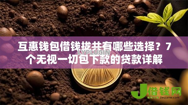 互惠钱包借钱拢共有哪些选择?7个无视一切包下款的贷款详解 互惠钱包借钱拢共有哪些选择?7个无视一切包下款的贷款详解