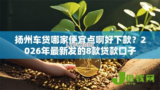 扬州车贷哪家便宜点啊好下款?2026年最新发的8款贷款口子 扬州车贷哪家便宜点啊好下款?2026年最新发的8款贷款口子