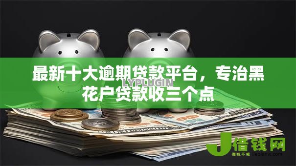 最新十大逾期贷款平台，专治黑花户贷款收三个点