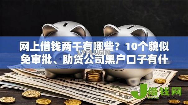 网上借钱两千有哪些？10个貌似免审批、助贷公司黑户口子有什么合集