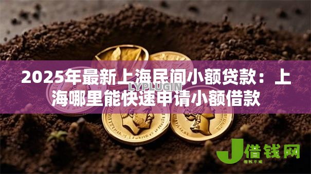2025年最新上海民间小额贷款:上海哪里能快速申请小额借款 2025年最新上海民间小额贷款:上海哪里能快速申请小额借款