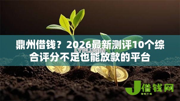 鼎州借钱？2026最新测评10个综合评分不足也能放款的平台