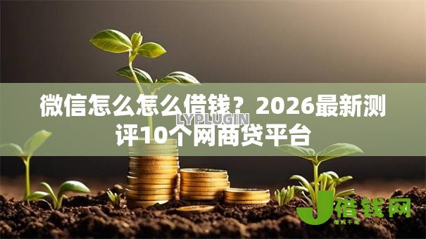 微信怎么怎么借钱?2026最新测评10个网商贷平台 微信怎么怎么借钱?2026最新测评10个网商贷平台
