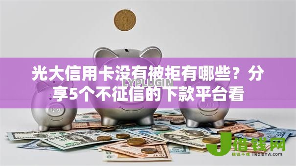光大信用卡没有被拒有哪些？分享5个不征信的下款平台看