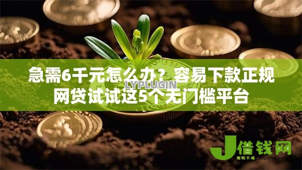 急需6千元怎么办?容易下款正规网贷试试这5个无门槛平台 急需6千元怎么办?容易下款正规网贷试试这5个无门槛平台