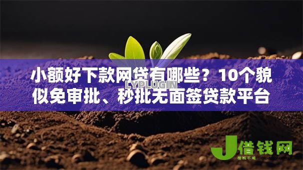小额好下款网贷有哪些？10个貌似免审批、秒批无面签贷款平台合集