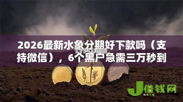 2026最新水象分期好下款吗(支持微信),6个黑户急需三万秒到的的口子无私分享 2026最新水象分期好下款吗(支持微信),6个黑户急需三万秒到的的口子无私分享