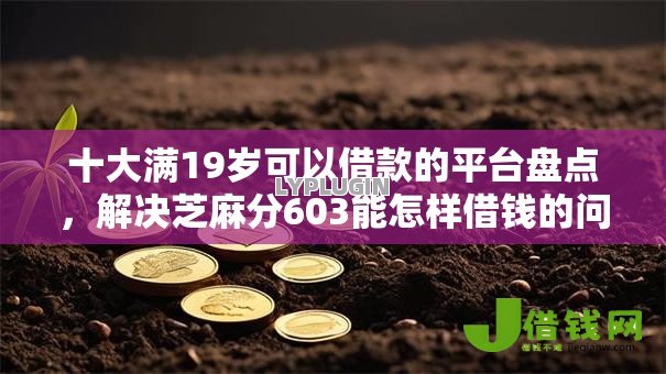 十大满19岁可以借款的平台盘点,解决芝麻分603能怎样借钱的问题 十大满19岁可以借款的平台盘点,解决芝麻分603能怎样借钱的问题