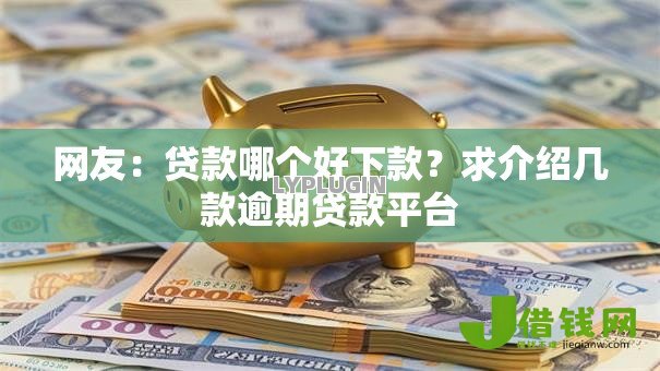 网友：贷款哪个好下款？求介绍几款逾期贷款平台