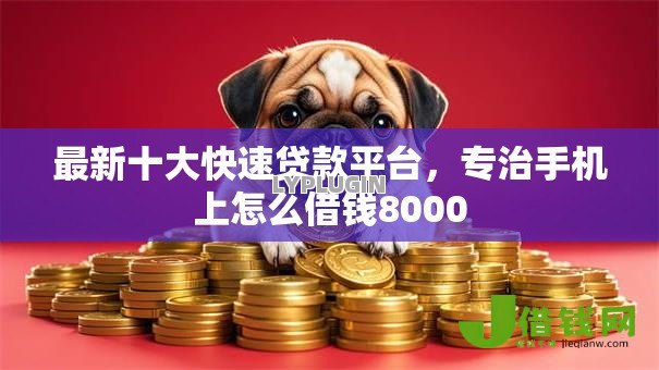 最新十大快速贷款平台，专治手机上怎么借钱8000