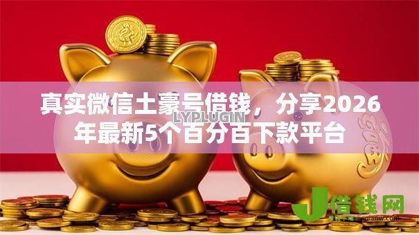 真实微信土豪号借钱，分享2026年最新5个百分百下款平台