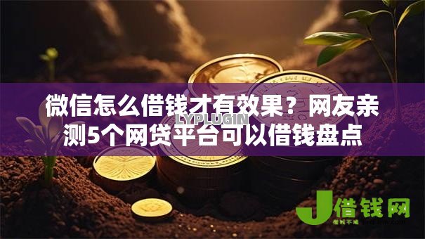微信怎么借钱才有效果？网友亲测5个网贷平台可以借钱盘点