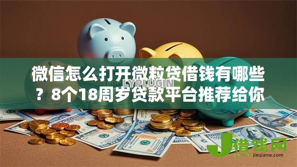 微信怎么打开微粒贷借钱有哪些?8个18周岁贷款平台推荐给你 微信怎么打开微粒贷借钱有哪些?8个18周岁贷款平台推荐给你