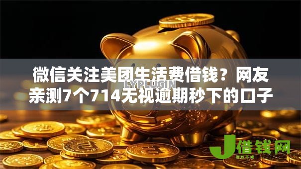 微信关注美团生活费借钱?网友亲测7个714无视逾期秒下的口子盘点 微信关注美团生活费借钱?网友亲测7个714无视逾期秒下的口子盘点