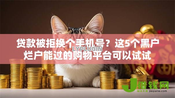 贷款被拒换个手机号？这5个黑户烂户能过的购物平台可以试试