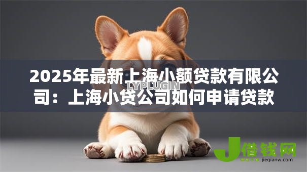 2025年最新上海小额贷款有限公司:上海小贷公司如何申请贷款服务 2025年最新上海小额贷款有限公司:上海小贷公司如何申请贷款服务