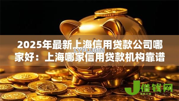 2025年最新上海信用贷款公司哪家好:上海哪家信用贷款机构靠谱 2025年最新上海信用贷款公司哪家好:上海哪家信用贷款机构靠谱