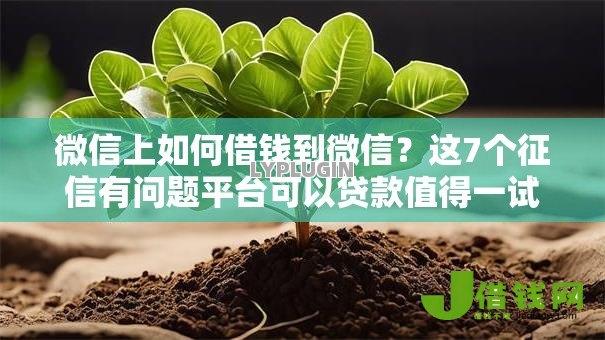 微信上如何借钱到微信？这7个征信有问题平台可以贷款值得一试