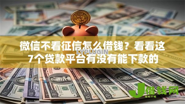 微信不看征信怎么借钱？看看这7个贷款平台有没有能下款的