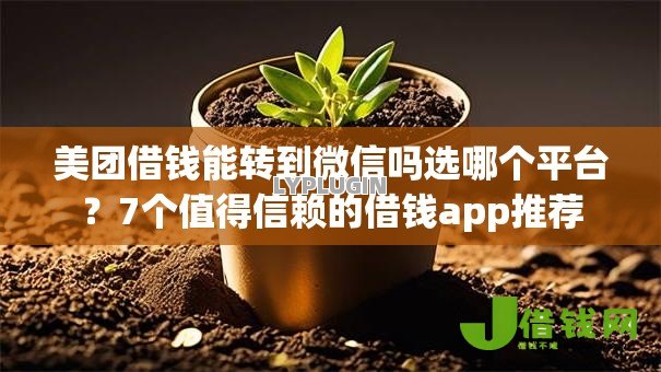 美团借钱能转到微信吗选哪个平台？7个值得信赖的借钱app推荐