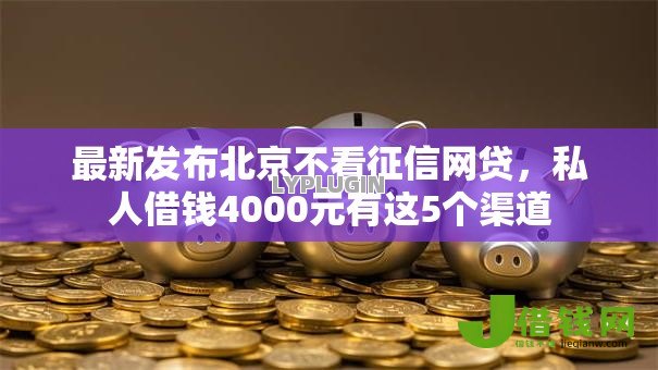 最新发布北京不看征信网贷，私人借钱4000元有这5个渠道