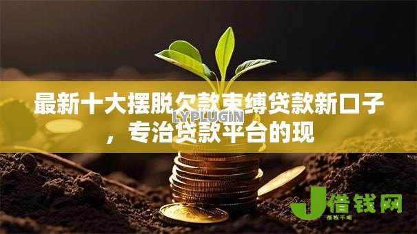 最新十大摆脱欠款束缚贷款新口子,专治贷款平台的现 最新十大摆脱欠款束缚贷款新口子,专治贷款平台的现