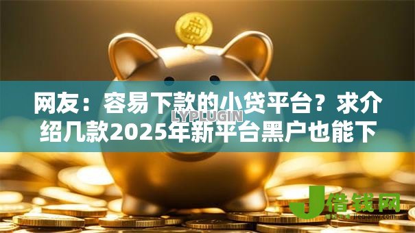 网友:容易下款的小贷平台?求介绍几款2025年新平台黑户也能下款这种 网友:容易下款的小贷平台?求介绍几款2025年新平台黑户也能下款这种