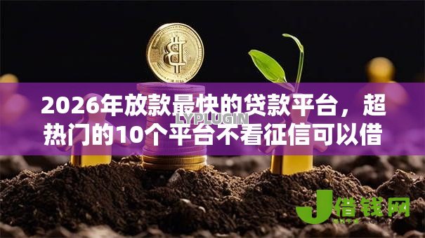 2026年放款最快的贷款平台,超热门的10个平台不看征信可以借到钱推荐 2026年放款最快的贷款平台,超热门的10个平台不看征信可以借到钱推荐