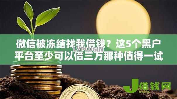 微信被冻结找我借钱？这5个黑户平台至少可以借三万那种值得一试