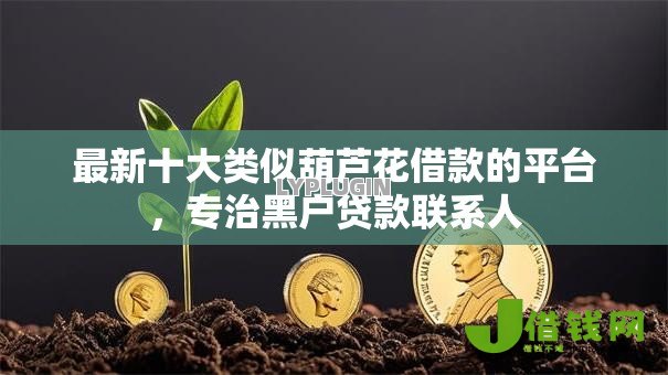 最新十大类似葫芦花借款的平台，专治黑户贷款联系人