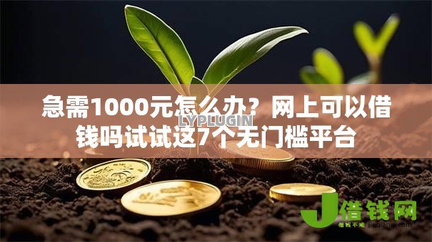 急需1000元怎么办？网上可以借钱吗试试这7个无门槛平台