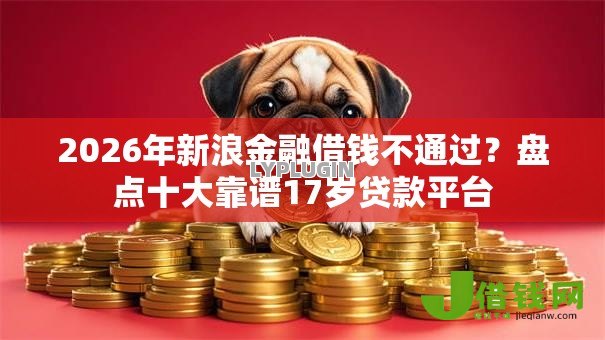 2026年新浪金融借钱不通过？盘点十大靠谱17岁贷款平台