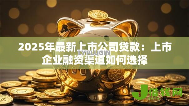 2025年最新上市公司贷款：上市企业融资渠道如何选择
